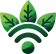 LetPlant